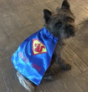 Dog Superhero Cape/ Puppy Superhero Cape/ Dog Cape/ Puppy Cape/ Superhero Cape for Dogs/ Super Dog Cape / Dog Costume/ Puppy Costume
